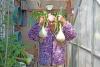 Viral gardening grandad sets out to inspire the young