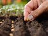 Farmers told to embrace modern seeds