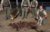 Law enforcement catches spiny lobster poachers in California