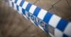 Thieves steal car before dawn