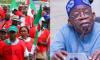 NLC Demands Fundamental Shake-Up of Nigeria’s Energy Sector