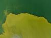 New sensor detects blue-green algae toxins in Swiss lakes