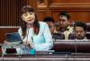 Deputy minister says Social Work Council coming once new Act officially takes effect