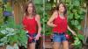 California gardener spotlights 3 summer problems that can quietly ruin your vegetable harvest