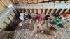 Why a mammoth is buried under a North Dakota garage