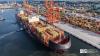 ICTSI earnings rise as Durban and Batam terminals lift volumes