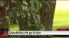 Top tick myths busted by Latvian researcher