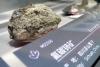 Most Japan manufacturers view rare earth procurement as challenge: survey