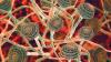 Warning over deadly super-fungus spreading undetected in hospitals killing up to one in three