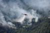 World Reuters Greek crews fight wildfire northwest of Athens for fourth day