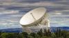 Open letter to save Jodrell Bank Observatory signed by 200 stars slams 'foolish and short-sighted' decision