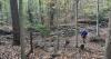 Rocky Run Loop Sounds Intense, But It’s One of the Best Hikes in Delaware