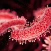 New York Ends Upper East Side Legionnaires Response After Seven DeathsNo Source Tower Confirmed