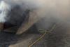 Britain’s ‘second-best zoo’ is forced to SHUT as firefighters battle blaze at 32-acre attraction