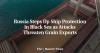 Russia Steps Up Ship Protection in Black Sea as Attacks Threaten Grain Exports