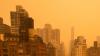 Naked Man Jumps Off the Top of NYC's Brooklyn Bridge and Survives, Video Shows