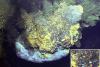 Microplastics now found even in deepest ‘most isolated’ parts of Earth