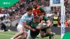 Springboks fans stunned by the team's travel bags as Rassie Erasmus lands in Argentina