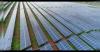 Redington partners with SolarEdge to expand advanced solar energy solutions across India