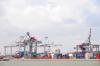Port of Rotterdam launches North Sea oyster restoration