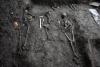 Science Notes: New research provides insights into bone preservation