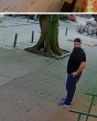 Terrifying moment man escapes huge tree fall in Brazil