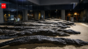 Ancient Egyptians mummified thousands of crocodiles at Kom Ombo. Modern DNA has finally revealed where the sacred reptiles came from