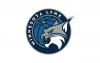 Lynx win streak reaches ten after win over Indiana