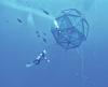 Kona-based company bringing aquaculture to Florida