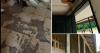 When the Bell Rings, Hope Waits