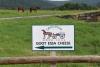 Centre County Cheesemaker Earns National Honors