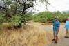 $1.8 million awarded for wildfire mitigation projects across Hawai‘i