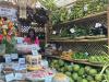 Tabo sa Kapitolyo: Cebu’s cities, towns offer their signature products
