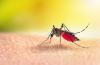 NDHHS Reports 1st Case Of West Nile In Humans This Year