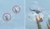 Two Killed As Firefighting Helicopters Collide Battling Greek Wildfires 
