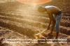 Foreign Aid That Works — the Malawi Story