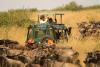 Tourists spend more as Tanzania’s premium travel market expands