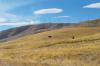 Rising tension in central WA as farmland is eyed for energy and data center projects