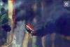 Extraordinary footage shows Russian fuel trucks burst into flames after Ukrainian drone strike