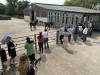 Mathematicians join forces with The Donkey Sanctuary to improve donkey welfare