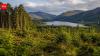 In 1986, Alan Watson Featherstone promised to restore Scotland's ancient Caledonian Forest, and by 2012 one million native trees had been planted