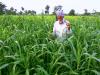 Every Rs 1 invested under KCC interest subsidy scheme generates Rs 2.30 in agricultural value: Govt