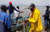 Why KMFRI want to restore papyrus weed around Lake Naivasha