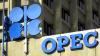 OPEC+ Completes 2023 Output Cut Rollback, Approves 188,000 Bpd Increase