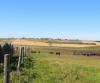 Ottawa invests $50M in Natural Products Canada to strengthen agri-food sector