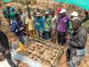 From soil to strength: How SUHUCAM is empowering Bamunkumbit’s farmers with Climate-Smart hope