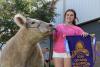 Goose, a grand champion steer, makes hay at the Delaware State Fair