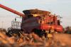 Why Harvest Traditions Still Matter Far Beyond the Farm