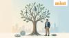 What are Alternative Investment Funds? Experts explain SEBI's three AIF categories and how they differ from mutual funds
