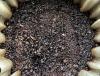 Korean Researchers Turn Wet Coffee Grounds Into Biochar in 90 Seconds